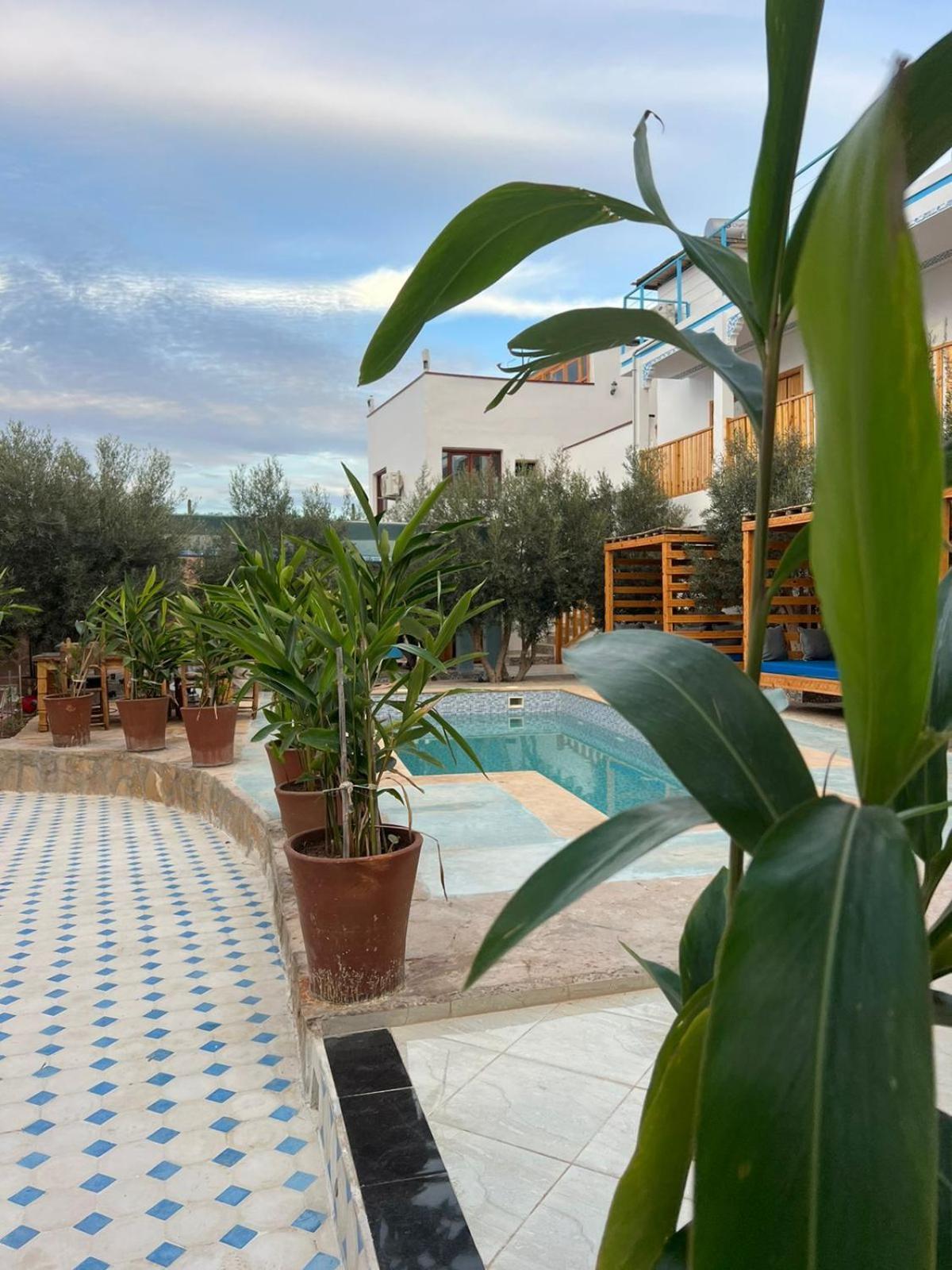 Single Fin Taghazout Surf & Stay Ngoại thất bức ảnh
