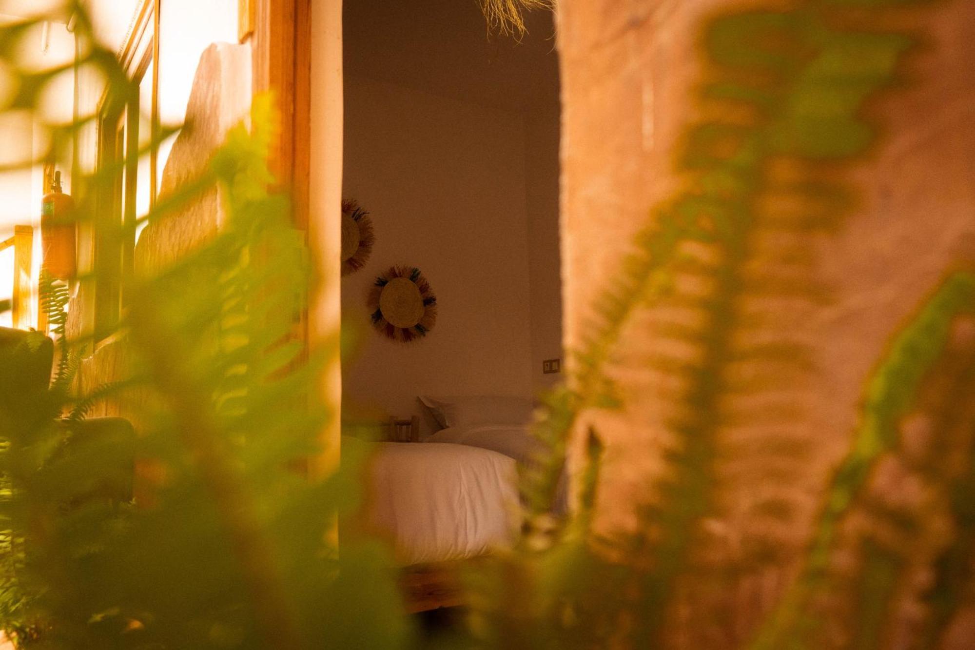 Single Fin Taghazout Surf & Stay Ngoại thất bức ảnh