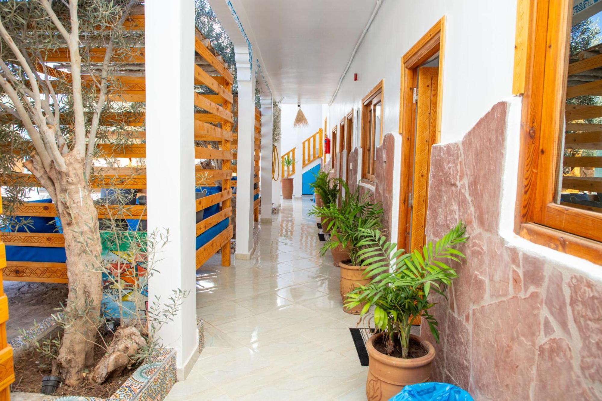 Single Fin Taghazout Surf & Stay Ngoại thất bức ảnh